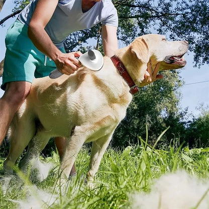 Self-Cleaning Pet Grooming Brush – Effortless Grooming for Your Furry Friend!