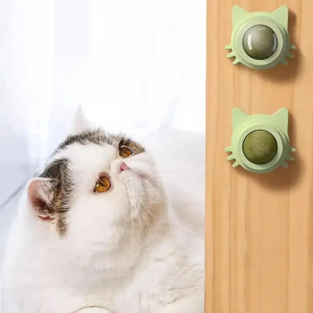 Catnip Wall Stick-On Ball – Engage Your Feline Friend in Fun!